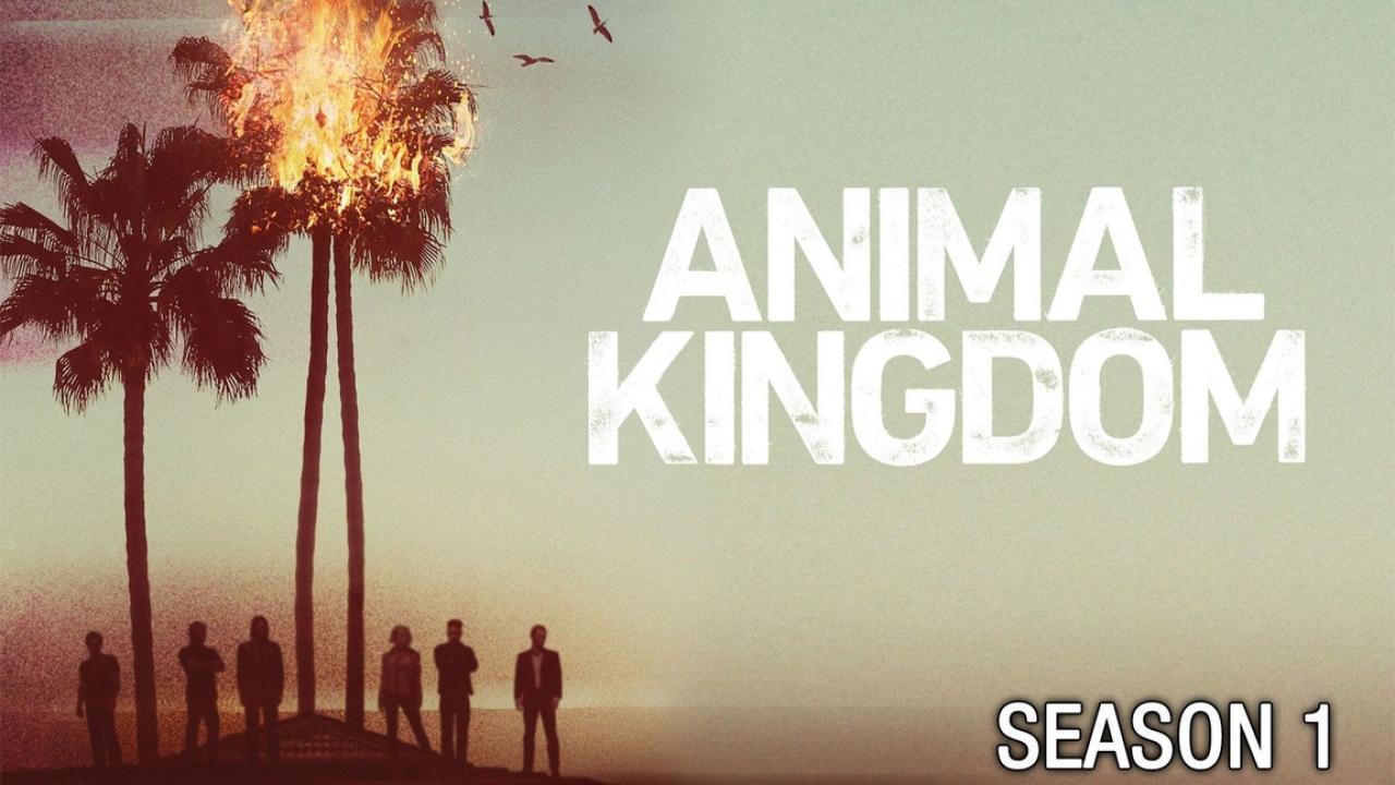 مسلسل Animal Kingdom الموسم الاول الحلقة 6 السادسة مترجمة